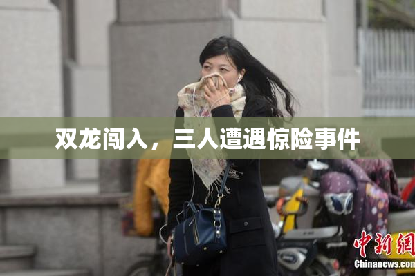 双龙闯入，三人遭遇惊险事件