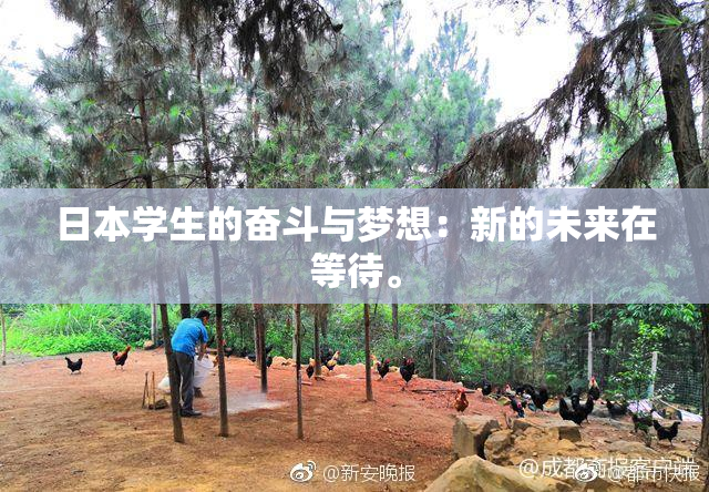 日本学生的奋斗与梦想：新的未来在等待。