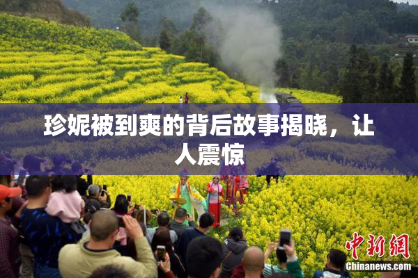 珍妮被到爽的背后故事揭晓，让人震惊