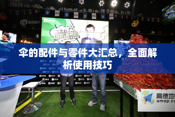 伞的配件与零件大汇总，全面解析使用技巧
