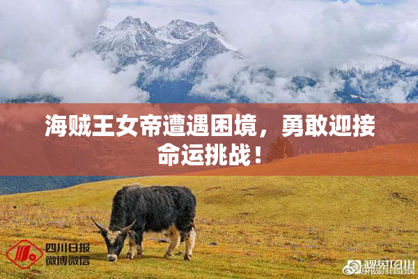 海贼王女帝遭遇困境，勇敢迎接命运挑战！