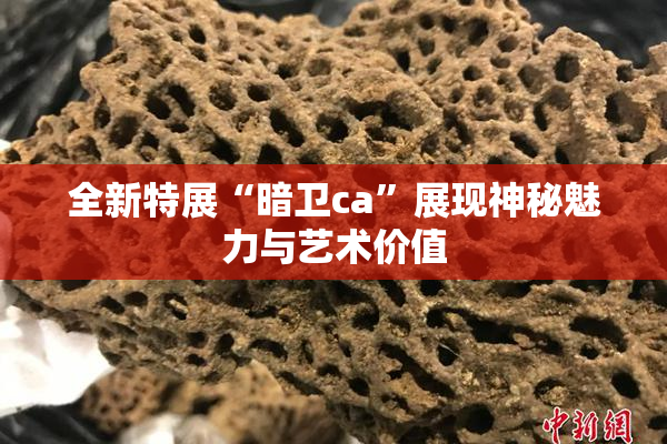 全新特展“暗卫ca”展现神秘魅力与艺术价值
