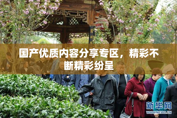 国产优质内容分享专区，精彩不断精彩纷呈