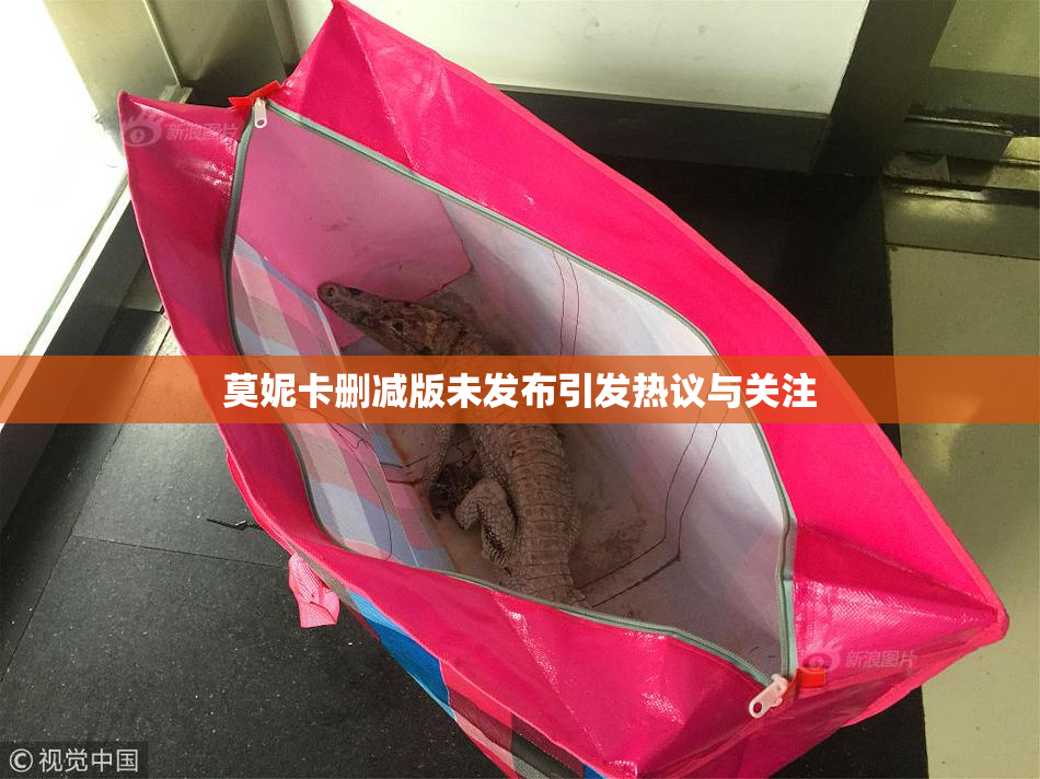 莫妮卡删减版未发布引发热议与关注