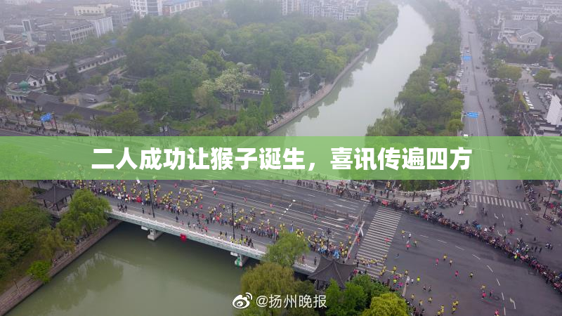 二人成功让猴子诞生，喜讯传遍四方
