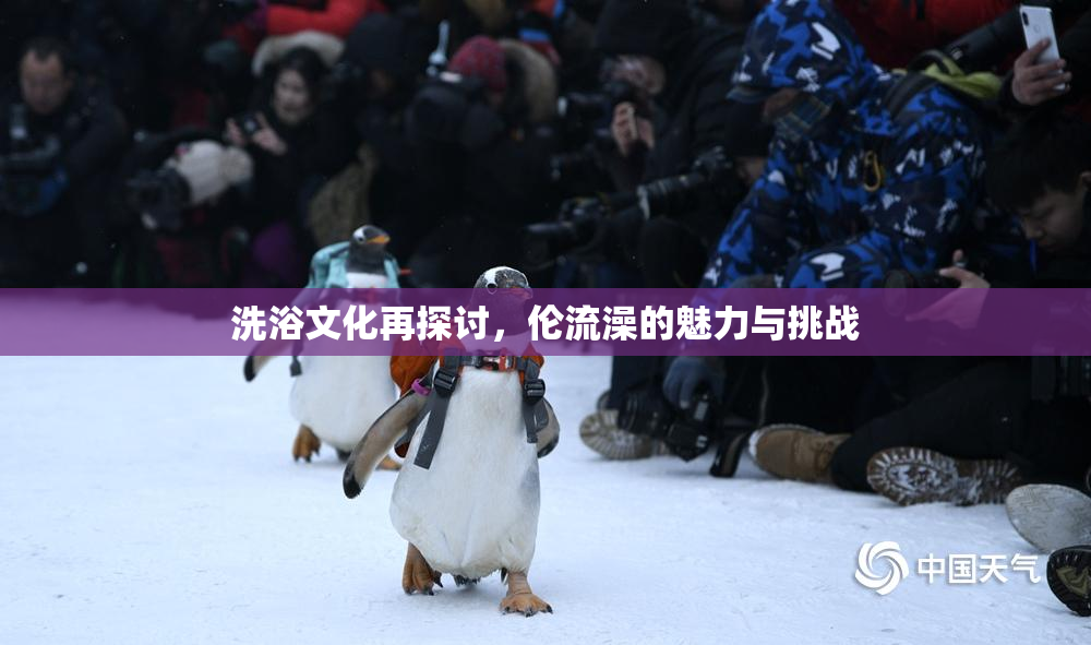 洗浴文化再探讨，伦流澡的魅力与挑战