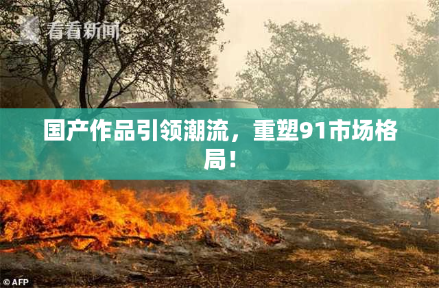 国产作品引领潮流，重塑91市场格局！