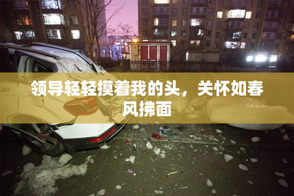 领导轻轻摸着我的头，关怀如春风拂面