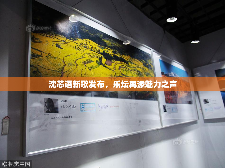 沈芯语新歌发布，乐坛再添魅力之声