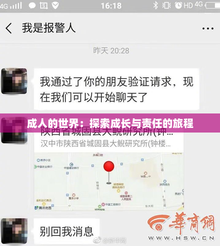成人的世界：探索成长与责任的旅程