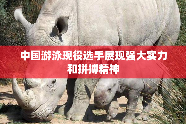 中国游泳现役选手展现强大实力和拼搏精神