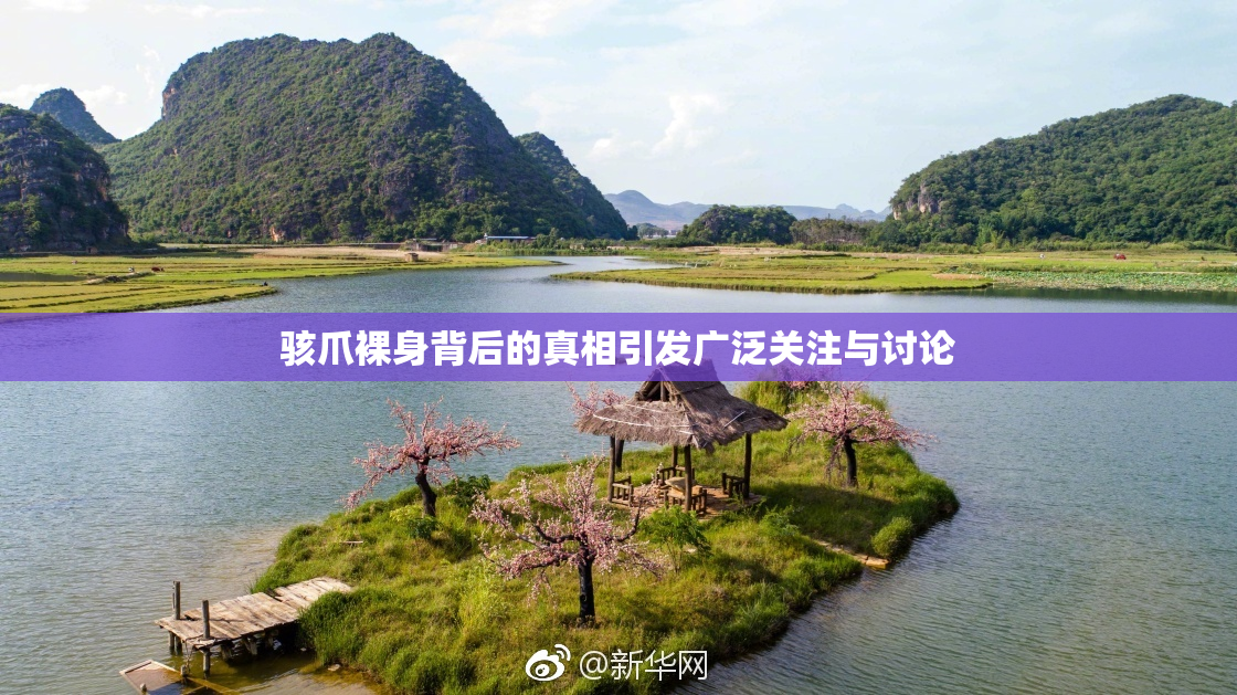 骇爪裸身背后的真相引发广泛关注与讨论