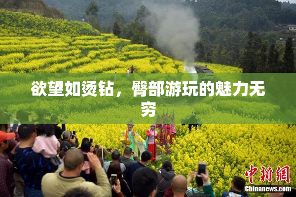 欲望如烫钻，臀部游玩的魅力无穷