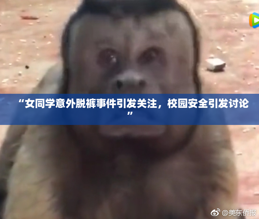 “女同学意外脱裤事件引发关注，校园安全引发讨论”