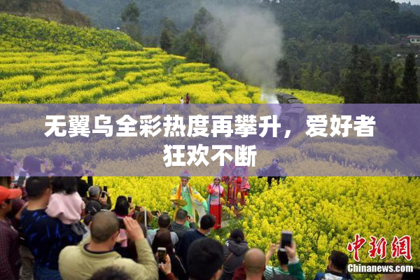 无翼乌全彩热度再攀升，爱好者狂欢不断