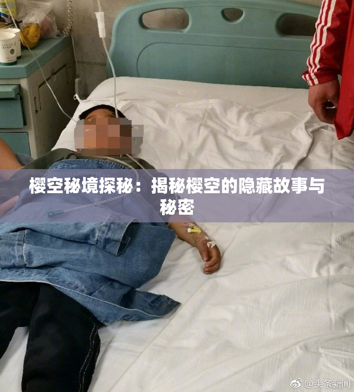 樱空秘境探秘：揭秘樱空的隐藏故事与秘密