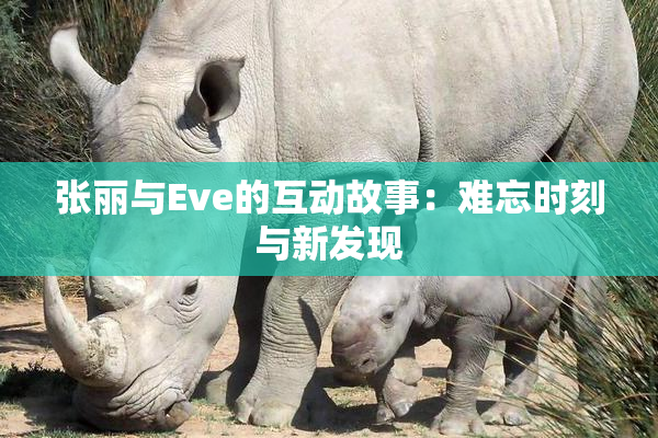 张丽与Eve的互动故事：难忘时刻与新发现
