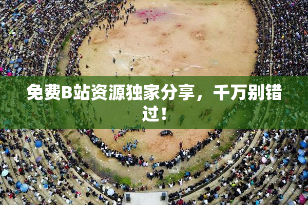 免费B站资源独家分享，千万别错过！