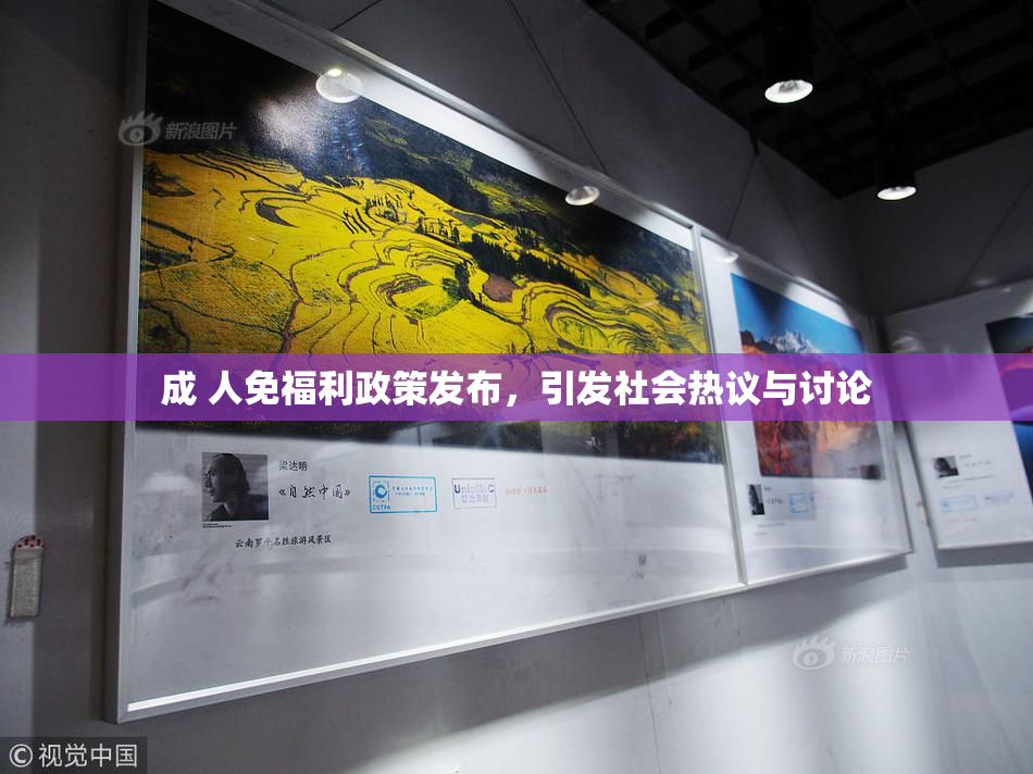成 人免福利政策发布，引发社会热议与讨论