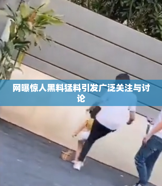 网曝惊人黑料猛料引发广泛关注与讨论
