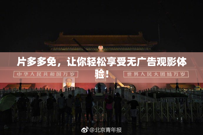 片多多免，让你轻松享受无广告观影体验！