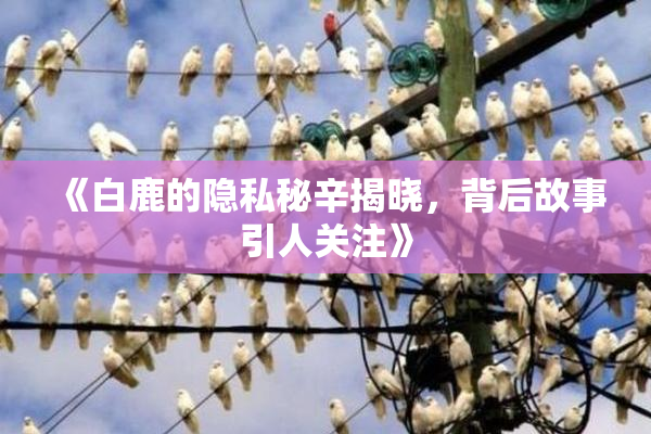 《白鹿的隐私秘辛揭晓，背后故事引人关注》