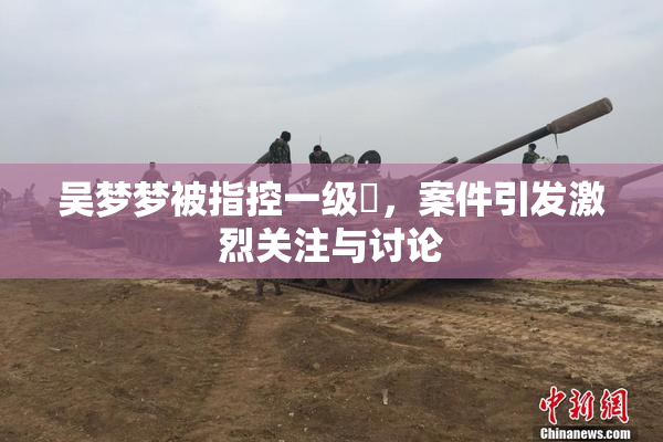 吴梦梦被指控一级婬，案件引发激烈关注与讨论