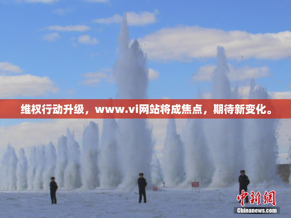 维权行动升级，www.vi网站将成焦点，期待新变化。