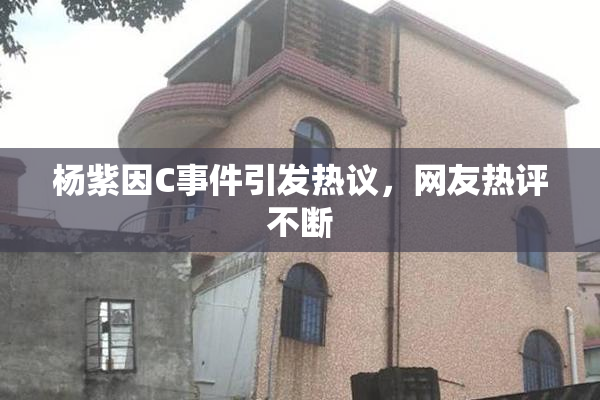 杨紫因C事件引发热议，网友热评不断