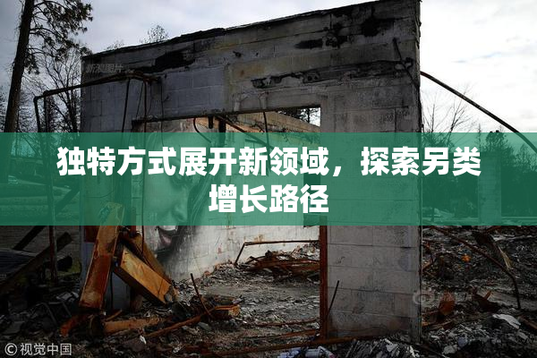 独特方式展开新领域，探索另类增长路径