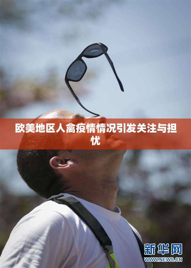 欧美地区人禽疫情情况引发关注与担忧