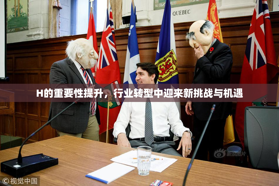 H的重要性提升，行业转型中迎来新挑战与机遇