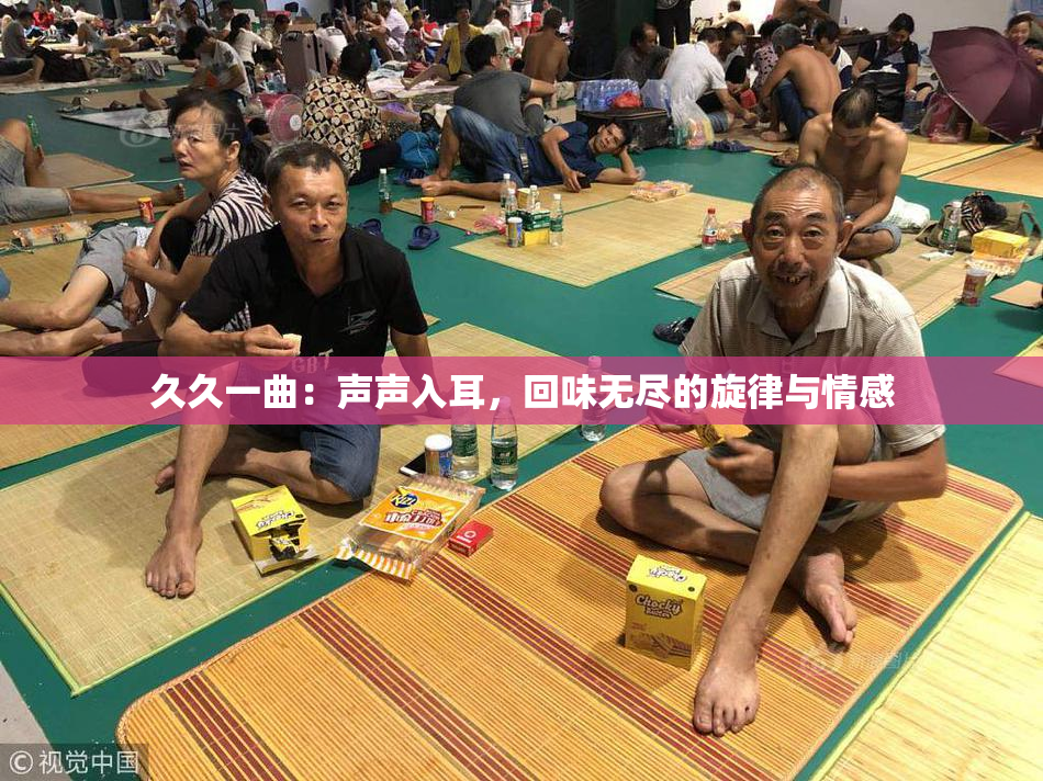 久久一曲：声声入耳，回味无尽的旋律与情感