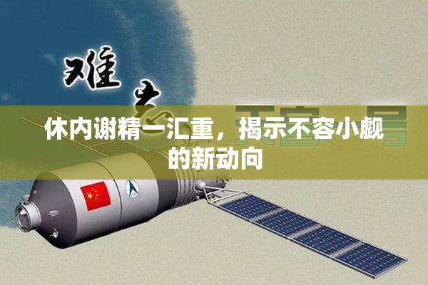 休内谢精一汇重，揭示不容小觑的新动向