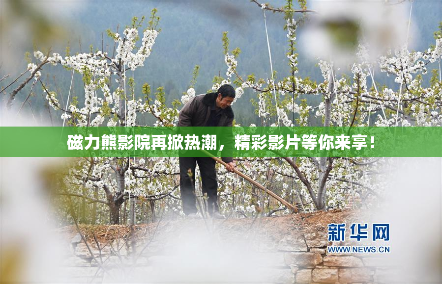 磁力熊影院再掀热潮，精彩影片等你来享！