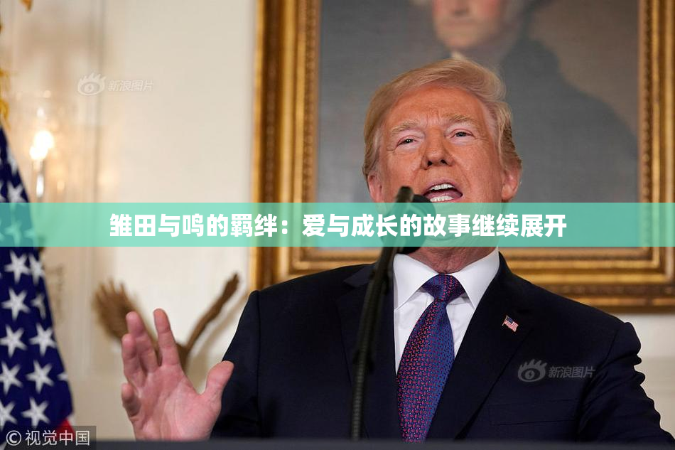 雏田与鸣的羁绊：爱与成长的故事继续展开