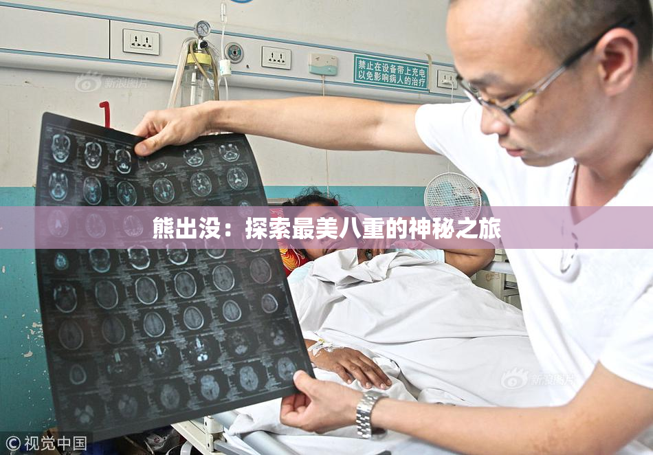 熊出没：探索最美八重的神秘之旅