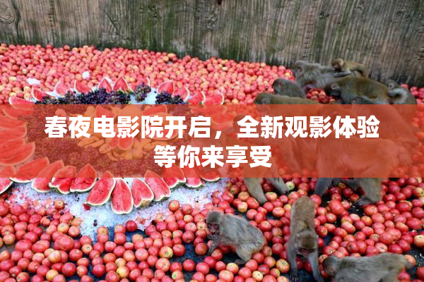 春夜电影院开启，全新观影体验等你来享受
