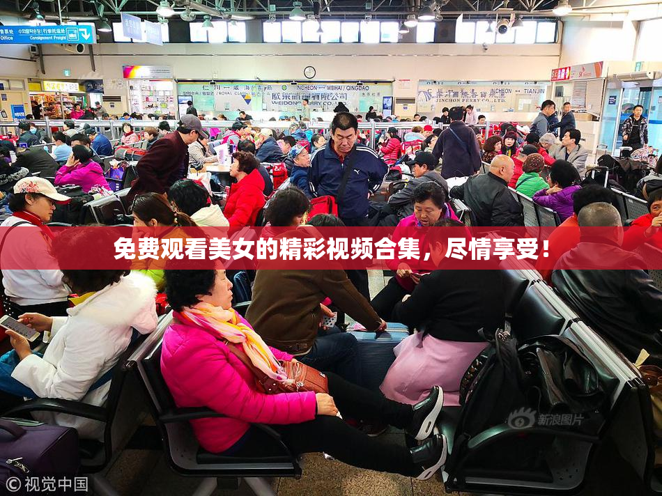 免费观看美女的精彩视频合集，尽情享受！