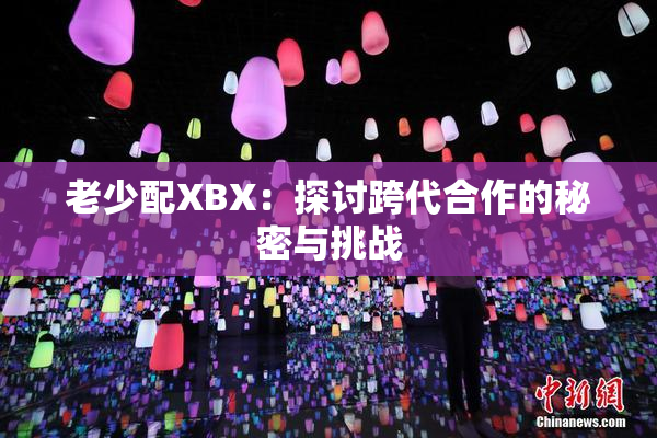 老少配XBX：探讨跨代合作的秘密与挑战