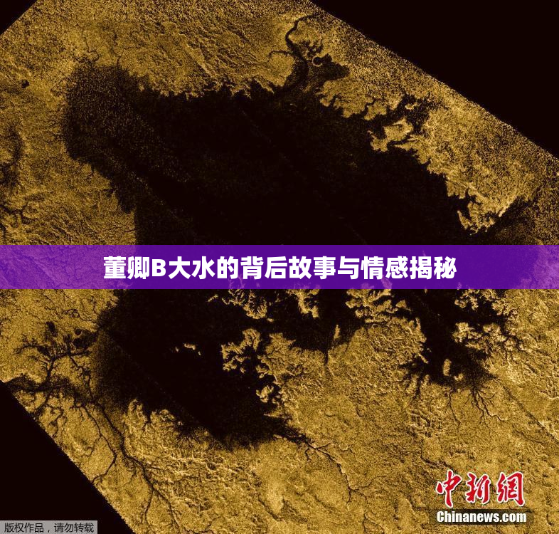 董卿B大水的背后故事与情感揭秘