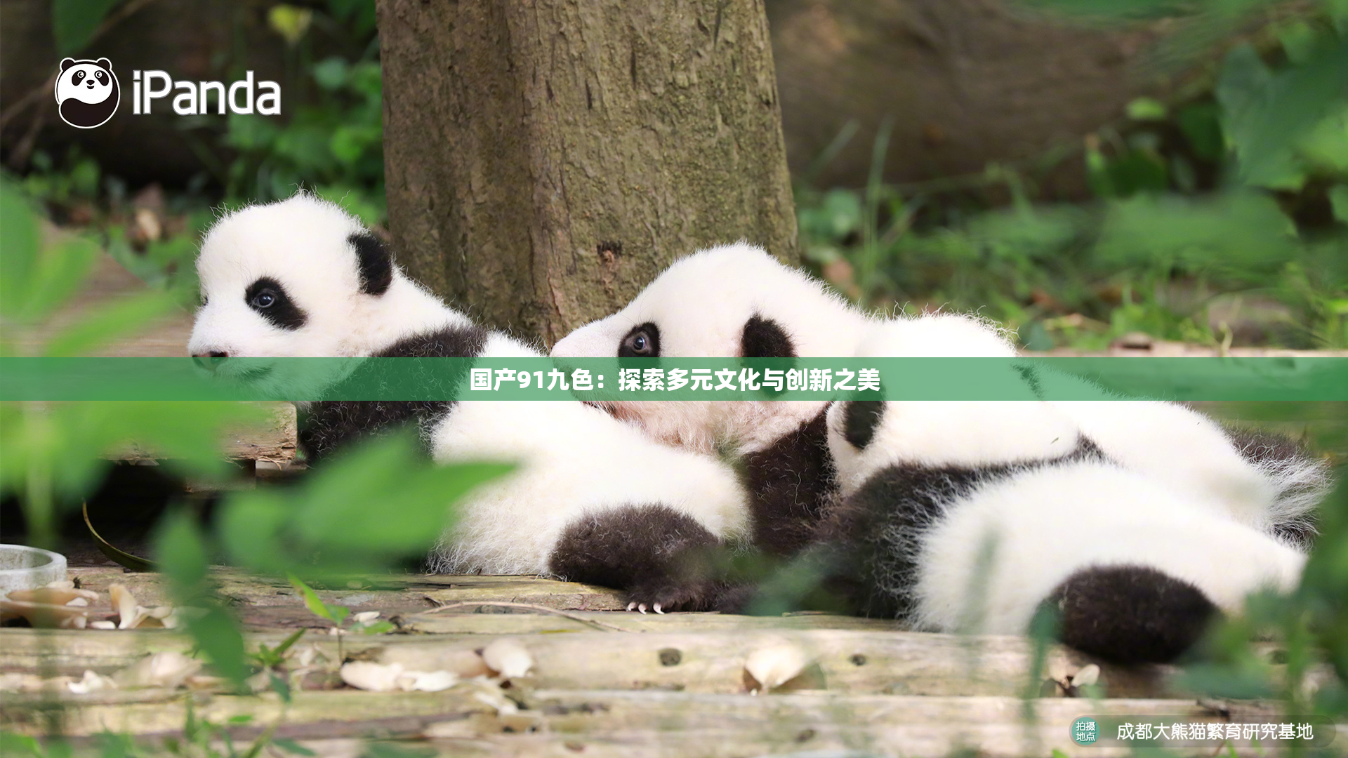 国产91九色：探索多元文化与创新之美
