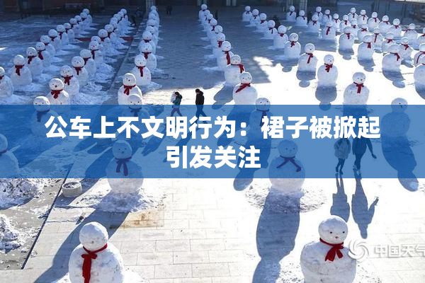 公车上不文明行为：裙子被掀起引发关注