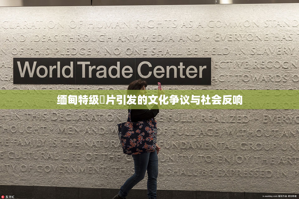 缅甸特级婬片引发的文化争议与社会反响
