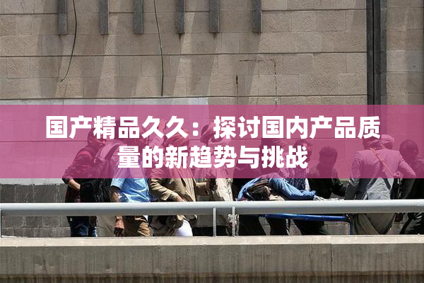 国产精品久久：探讨国内产品质量的新趋势与挑战