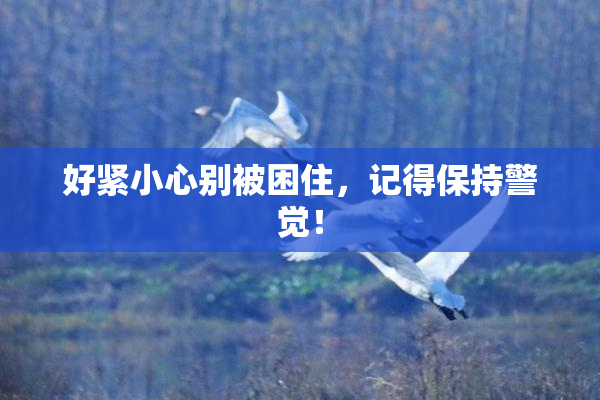 好紧小心别被困住，记得保持警觉！