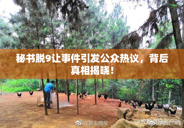 秘书脱9让事件引发公众热议，背后真相揭晓！