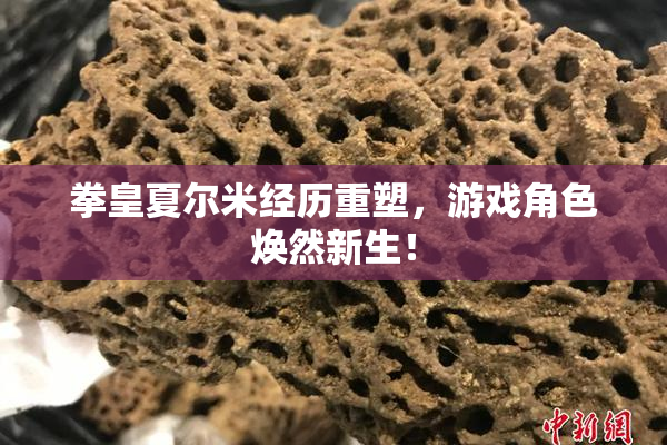 拳皇夏尔米经历重塑，游戏角色焕然新生！
