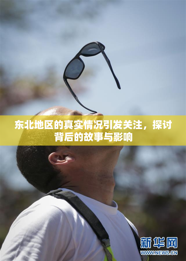 东北地区的真实情况引发关注，探讨背后的故事与影响