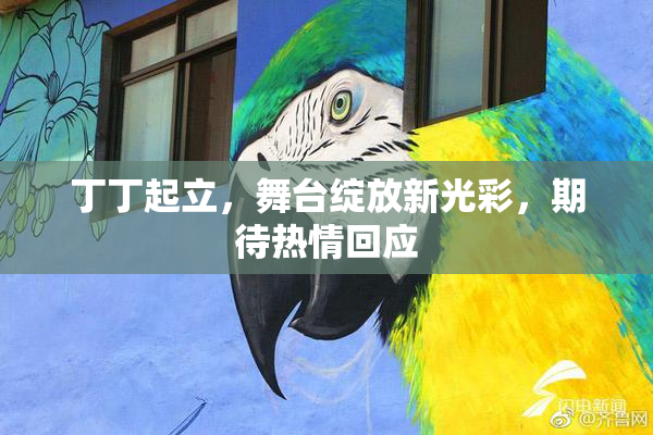 丁丁起立，舞台绽放新光彩，期待热情回应